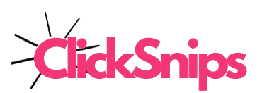 clicksnips.com